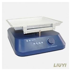 WD-9405E六一脱色摇床