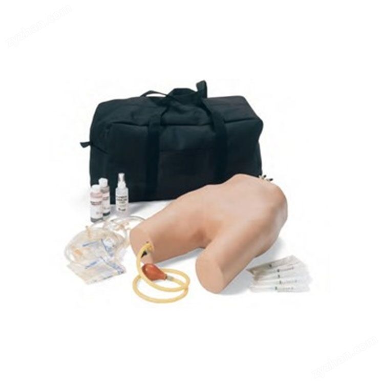 Modèle de ponction par injection artérielle et veine orthofémorale Amy