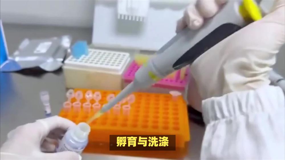 本生Elisa酶標(biāo)板