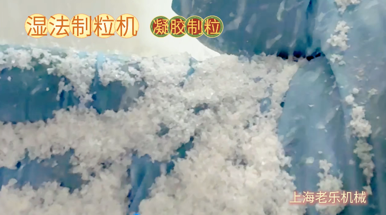 YK-60 搖擺式濕法制粒機