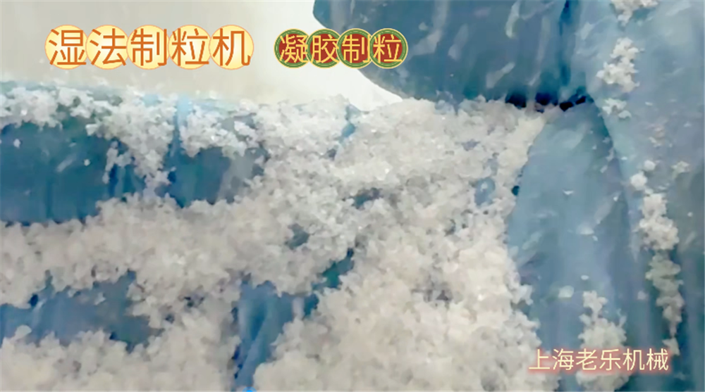 YK-60 搖擺式濕法制粒機(jī)