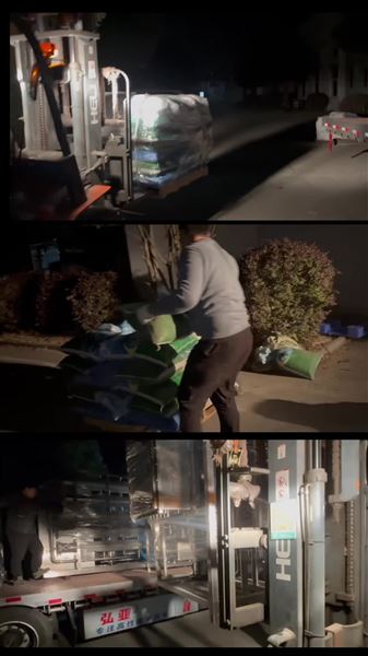 10T純化水設(shè)備加班發(fā)貨中！