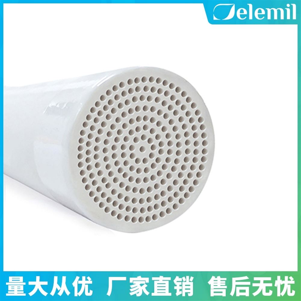 德蘭梅爾陶瓷膜應用 改進乳酸過濾技術