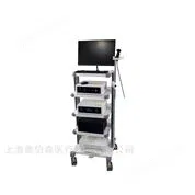 微覓 三維電子胸腹腔內(nèi)窺鏡