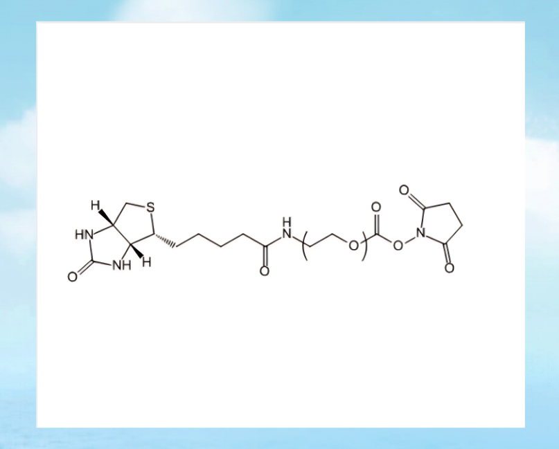 Biotin-PEG-NHS.png
