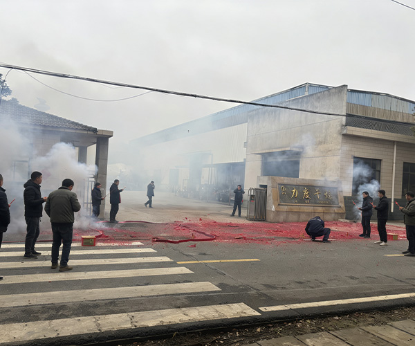 大年初九,力度干燥全体员工,元气开工!